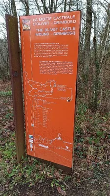 La Motte Castrale d’Olivet — photo 2
