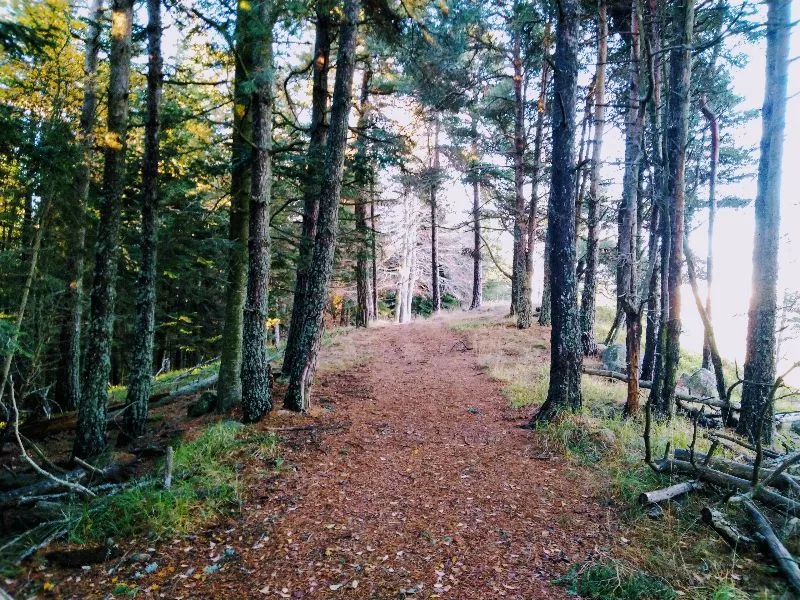 Promontoire de l'Orme