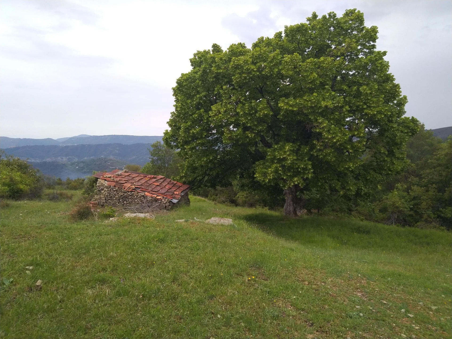 La crête du Tilleul