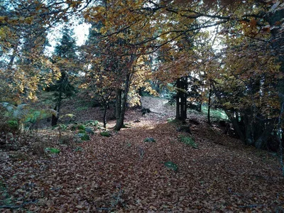 Promontoire de l'Orme — photo 2