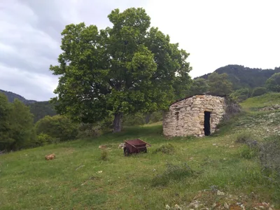 La crête du Tilleul — photo 2