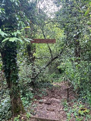 Source du Tambour — photo 1