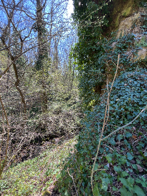 Ancienne abbaye du Bouchet — photo 3