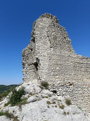 Ruines du château gothique de Sirotči Hrádek — photo 2