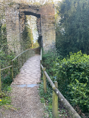 Ruines du château de rieux
