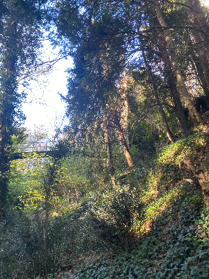 Ruines du château de rieux — photo 5