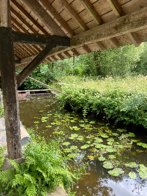 Lavoir de l’étang — photo 2