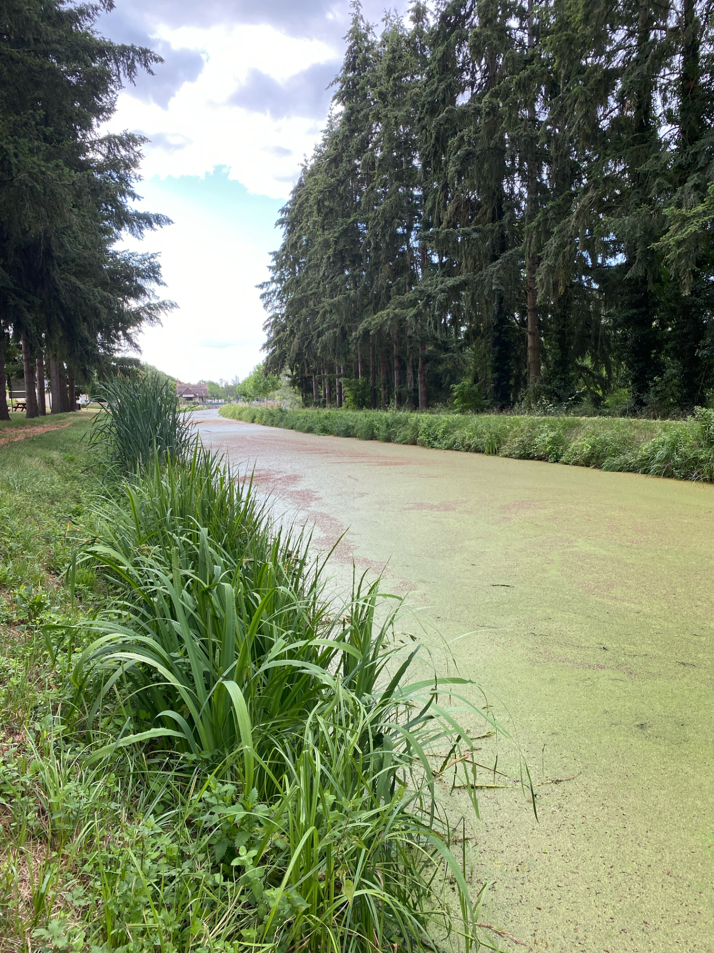 Canal du Berry