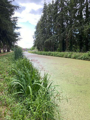 Canal du Berry