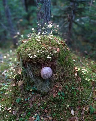 Arkhyz — photo 7