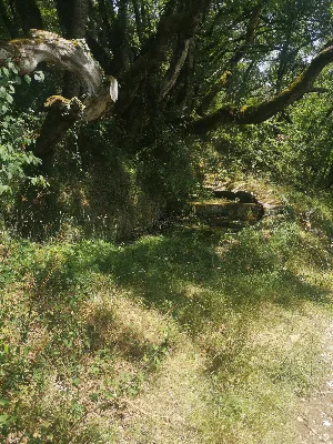 Source du Mas de Fraysse — photo 3