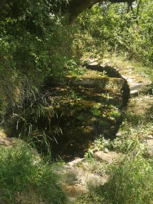 Source du Mas de Fraysse — photo 1