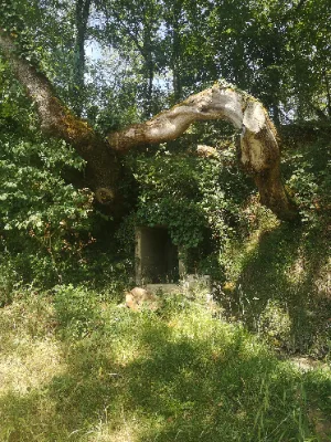 Source du Mas de Fraysse — photo 2