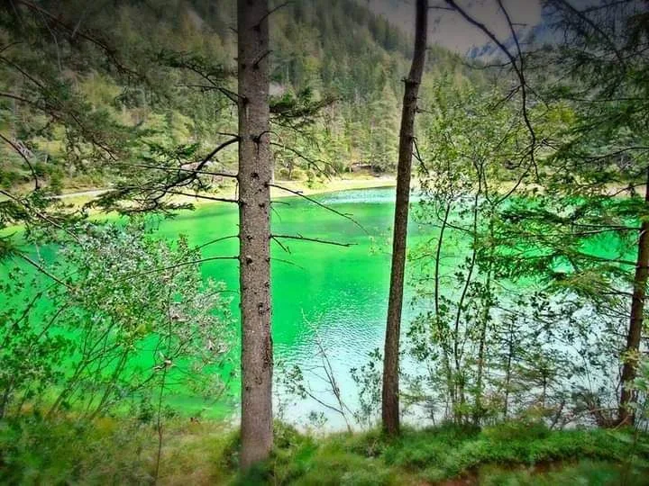 Grüner see