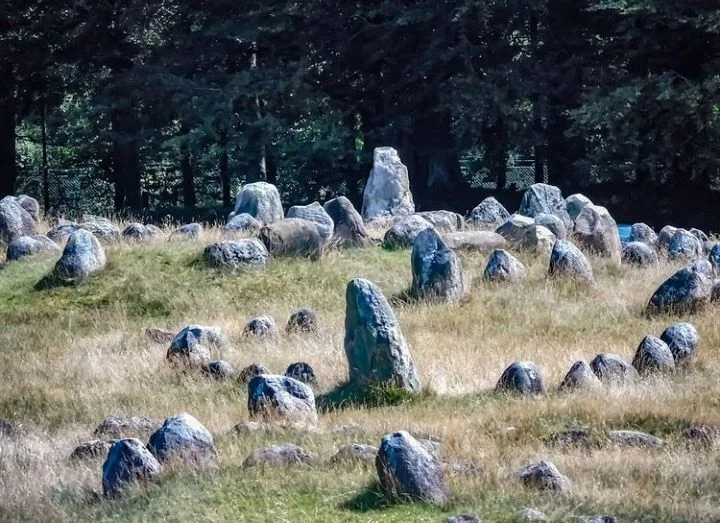 Lindholm høje - Cimetière Vikings