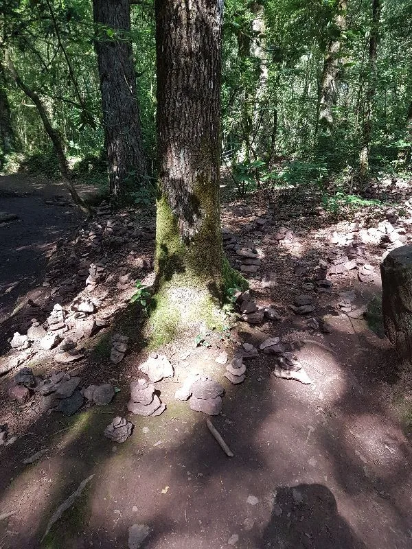 Sculptures de pierres