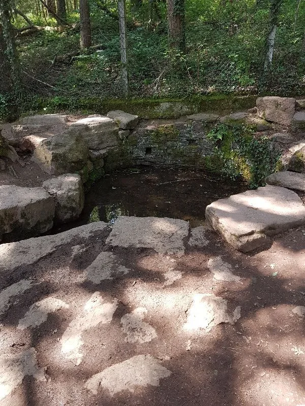 Fontaine de jouvence