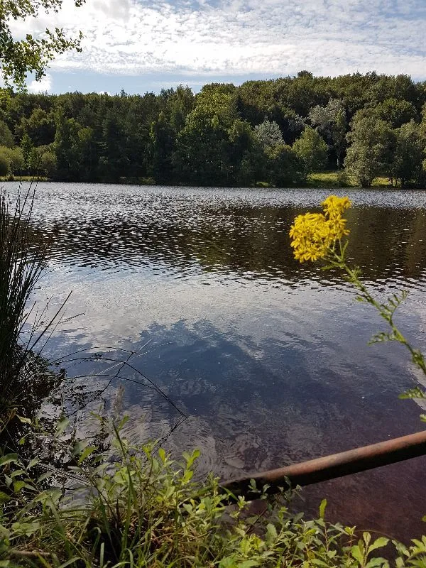 Étang la Marette