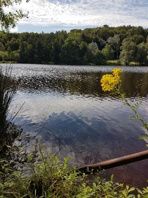 Étang la Marette