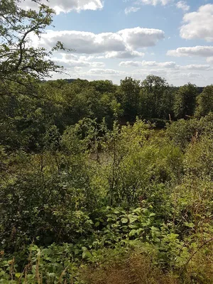 Domaine de Boutavent — photo 3