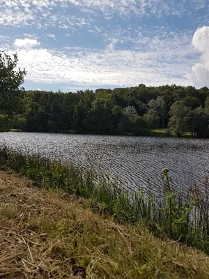 Étang la Marette — photo 2