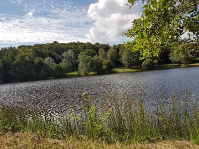 Étang la Marette — photo 3