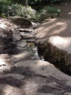 Fontaine de jouvence — photo 2