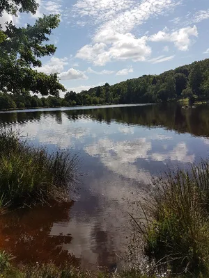 Étang la Marette — photo 4