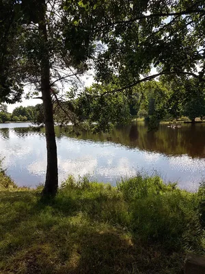 Étang la Marette — photo 5