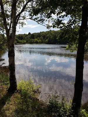 Étang la Marette — photo 6