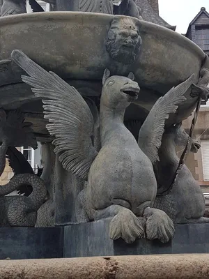 Place du centre de Guingamp — photo 7