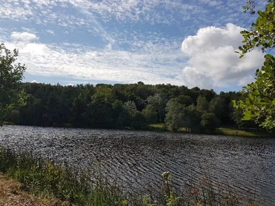 Étang la Marette — photo 7