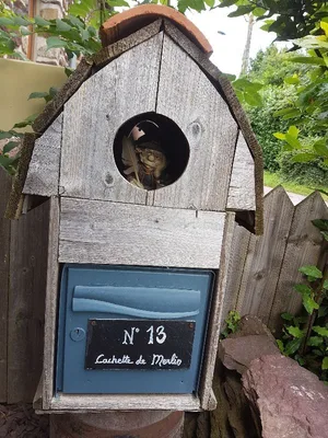 La Cachette de Merlin — photo 7