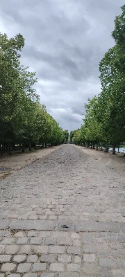 Allée de maintenon — photo 1