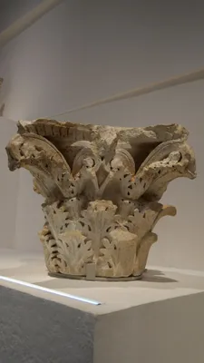 Le musée de la Romanité — photo 2