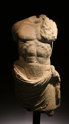 Le musée de la Romanité — photo 5