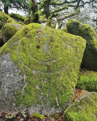 Wistman's Wood — photo 3