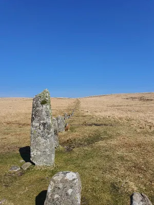Hingston Hill stone circle and stone row — photo 2
