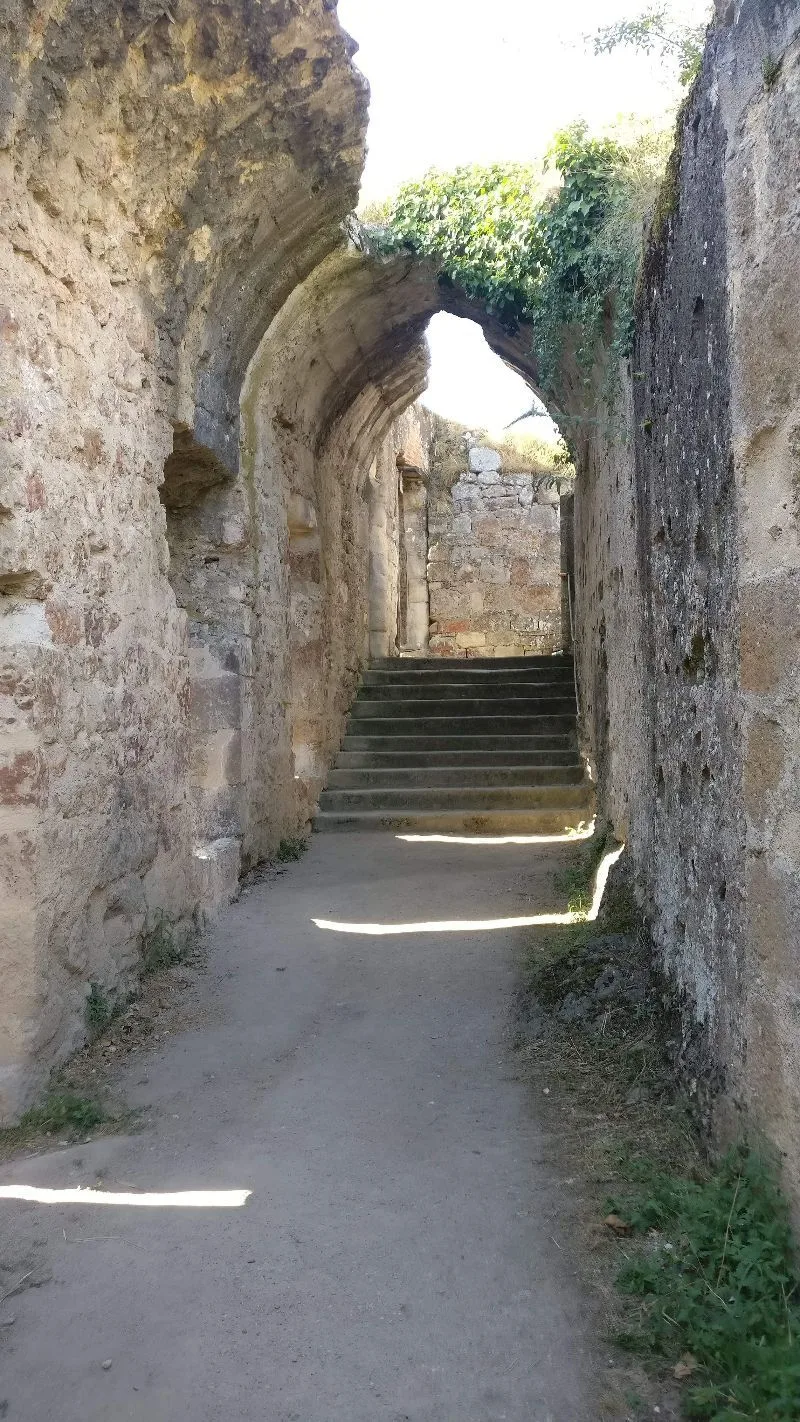 Château d'Hérisson