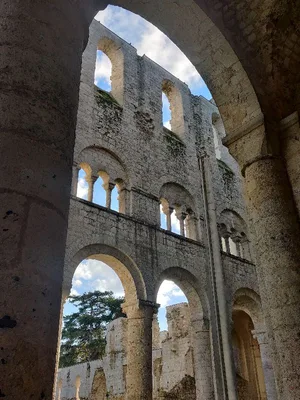 Abbaye de Jumièges — photo 3