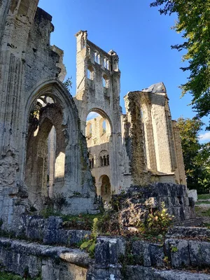 Abbaye de Jumièges — photo 4