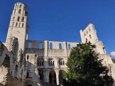 Abbaye de Jumièges — photo 5