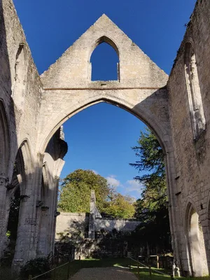 Abbaye de Jumièges — photo 6