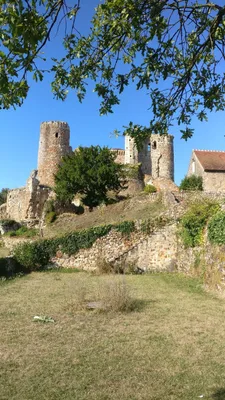 Château d'Hérisson — photo 4