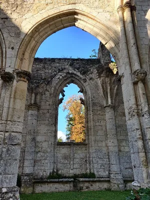 Abbaye de Jumièges — photo 8