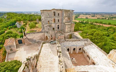 Abbaye de Montmajour — photo 6