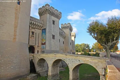 Château de Tarascon — photo 4