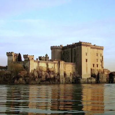 Château de Tarascon — photo 3