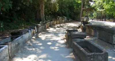 Nécropole des Alyscamps — photo 2
