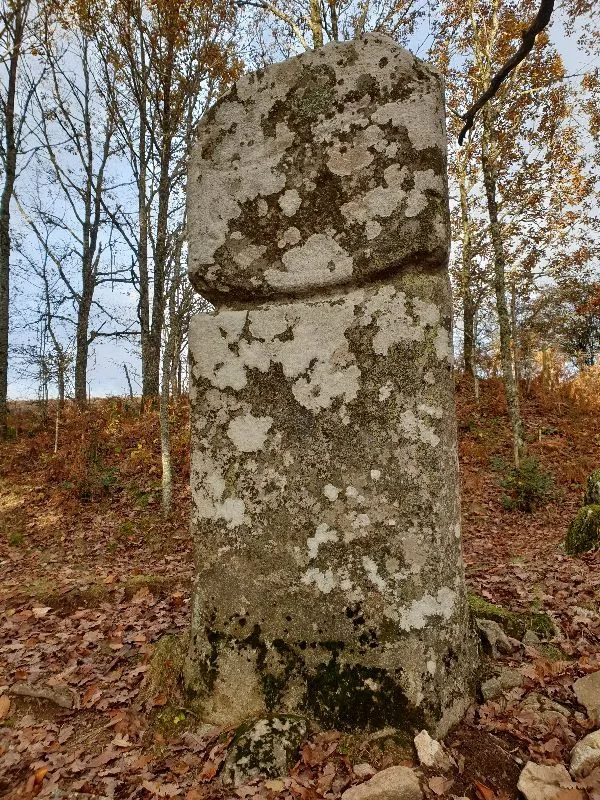 Menhir de Picarel le Haut